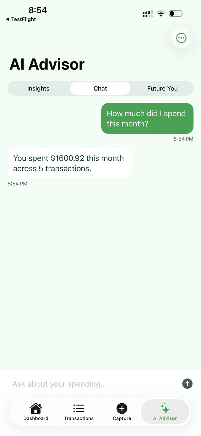 SpendSheet AI Advisor chat